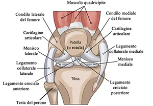 ozonoterapia per la cura dell'osteoartrite