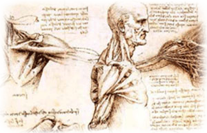 Storia della fisioterapia secondo il dr.Vrola